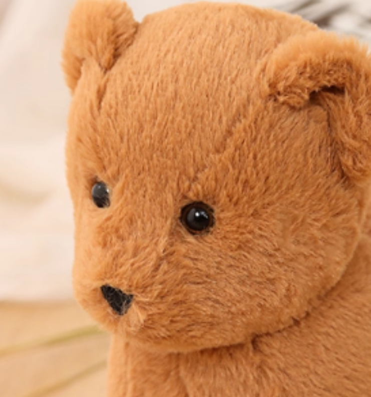 Wooden Pull-Along Bear Walker — Educational Push-and-Pull Toy for Toddlers, Early Childhood Learning Aid